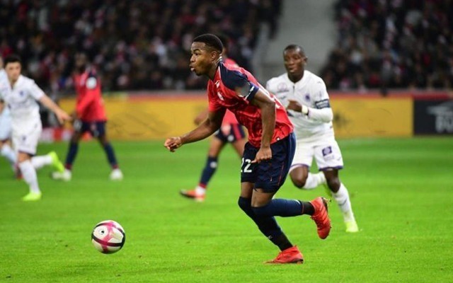 用一句话概 用一句话概